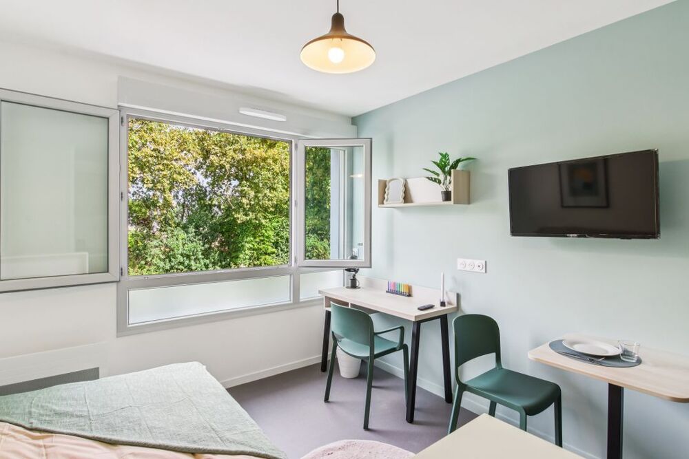 Location Appartement Studio de 19m2 à louer sur Verrières-en-Anjou Verrieres en anjou