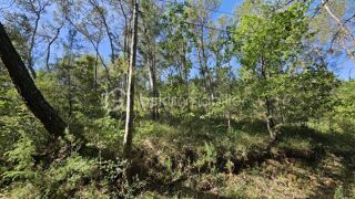  Terrain � vendre 8850 m�