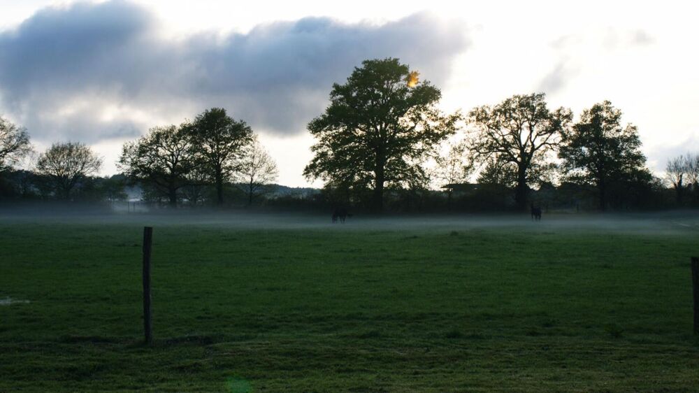  vendre  Proprit/chteau Sigloy (45110)