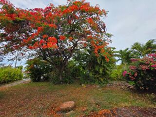  Villa à vendre 5 pièces 190 m²