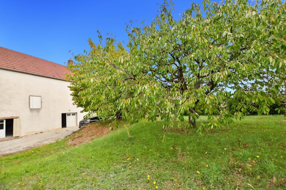 Vente Maison Maison de 130 m2 sur 1012 m2 de terrain à SAINT JEAN DE TREZY (71) Saint jean de trezy