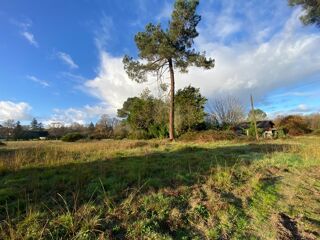  Terrain à vendre 7500 m²