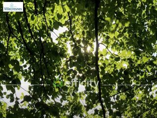  Terrain � vendre 1213 m�