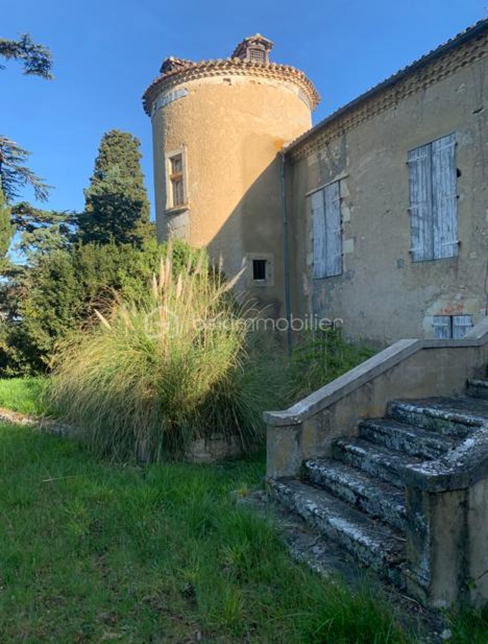 � vendre  Propri�t�/ch�teau Antras (32360)