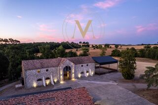  Propriété/château à vendre 7 pièces 270 m²