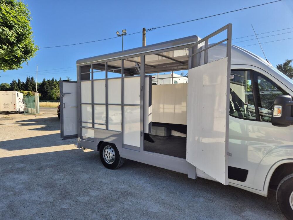 Movano B&eacute;taill&egrave;re 2.2 140 cv 2022 occasion 84300 Cavaillon