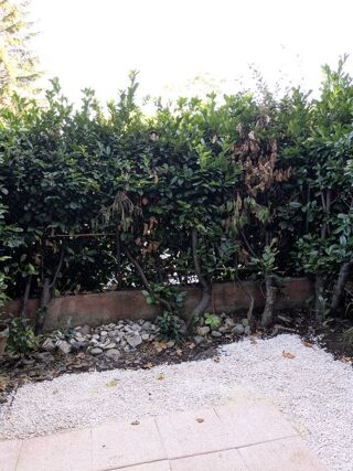  Appartement � louer 1 pi�ce 22 m�
