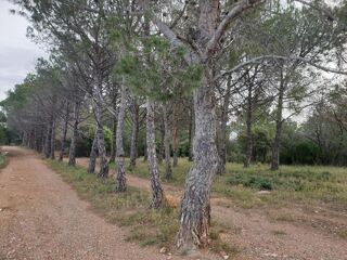  Terrain à vendre 10000 m²