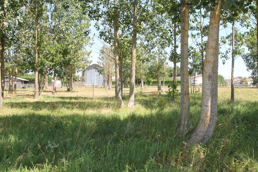 Vente Remise/Grange Ancien séchoir à tabac – 83 m² – Terrain de 5 428 m² – Potentiel de réhabilitation en habitation proche de CASTELJALOUX (47) Casteljaloux
