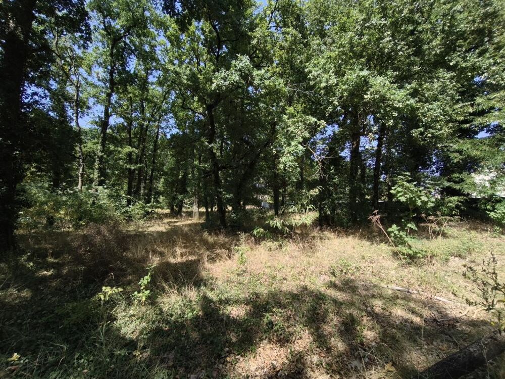 Vente Terrain Terrain Angouleme