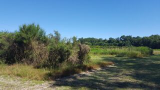  Propri�t�/ch�teau � vendre 15 + pi�ces 835 m�