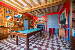  Propriété/château à vendre 8 pièces 375 m²