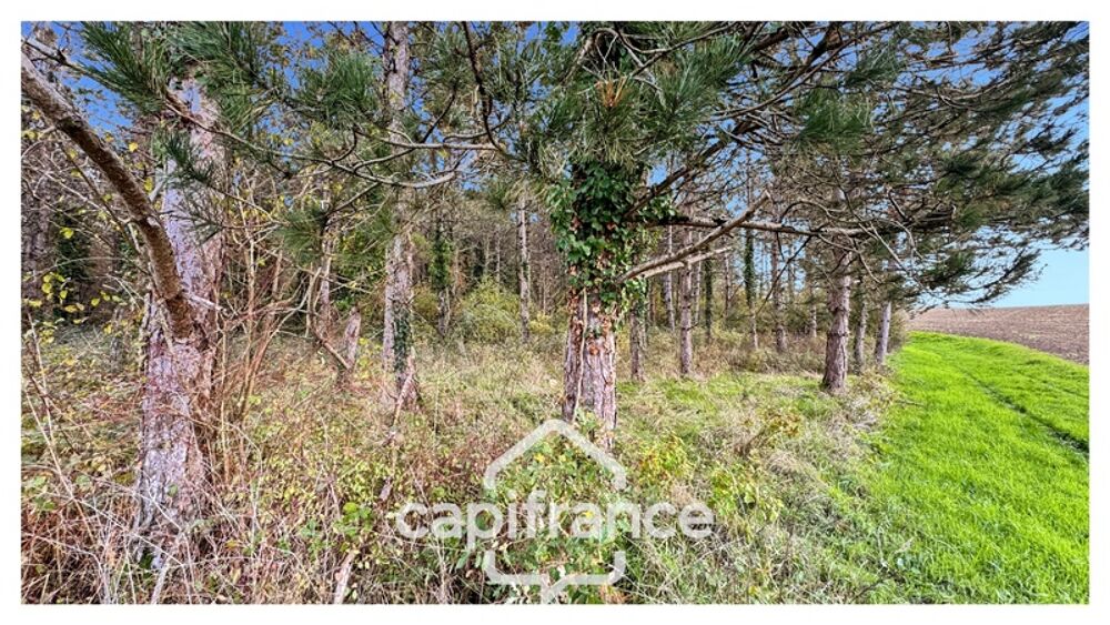 Rare sur le secteur ! Bergerie à rénover avec plus de 4,2 hectares de terrain  Monflanquin