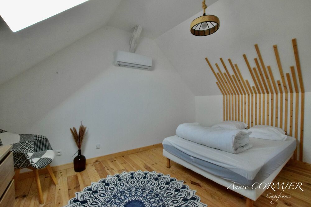 Vente Maison Maison ancienne rénovée - 3 appartements et grande grange Villemurlin