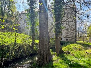  Moulin à vendre 13 pièces 597 m² Crepy en valois