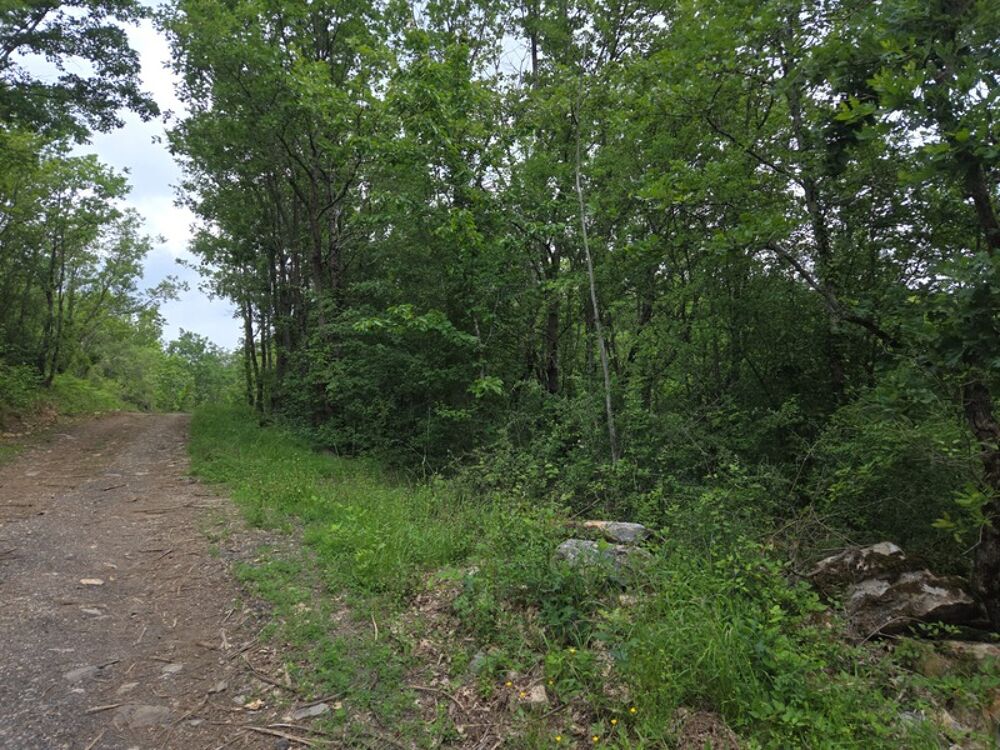 Vente Terrain MEYRANNES (30) A vendre terrain d'une superficie de 9849m2 dont 868m2 à bâtir borné récemment et châtaigneraie Meyrannes