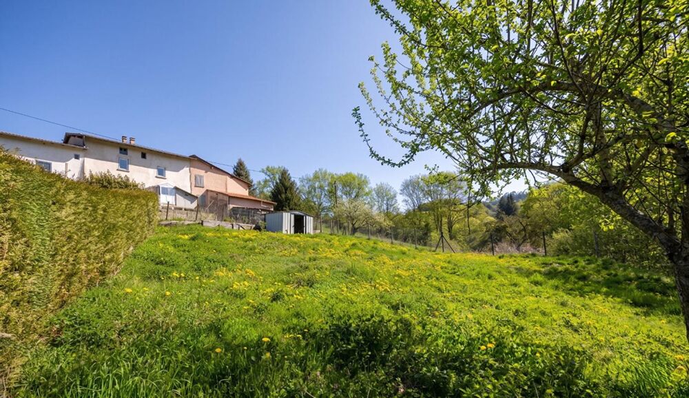 Charme et Potentiel au Coeur de la Nature à Violay