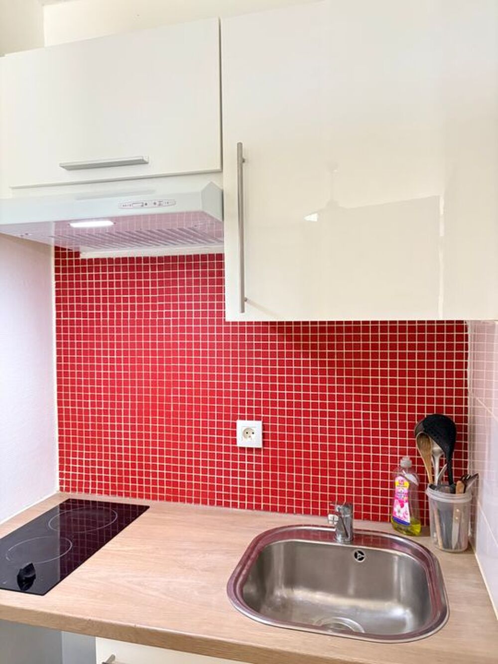 Location Appartement Studio de 26m2 à louer sur Lyon 08 Lyon 8