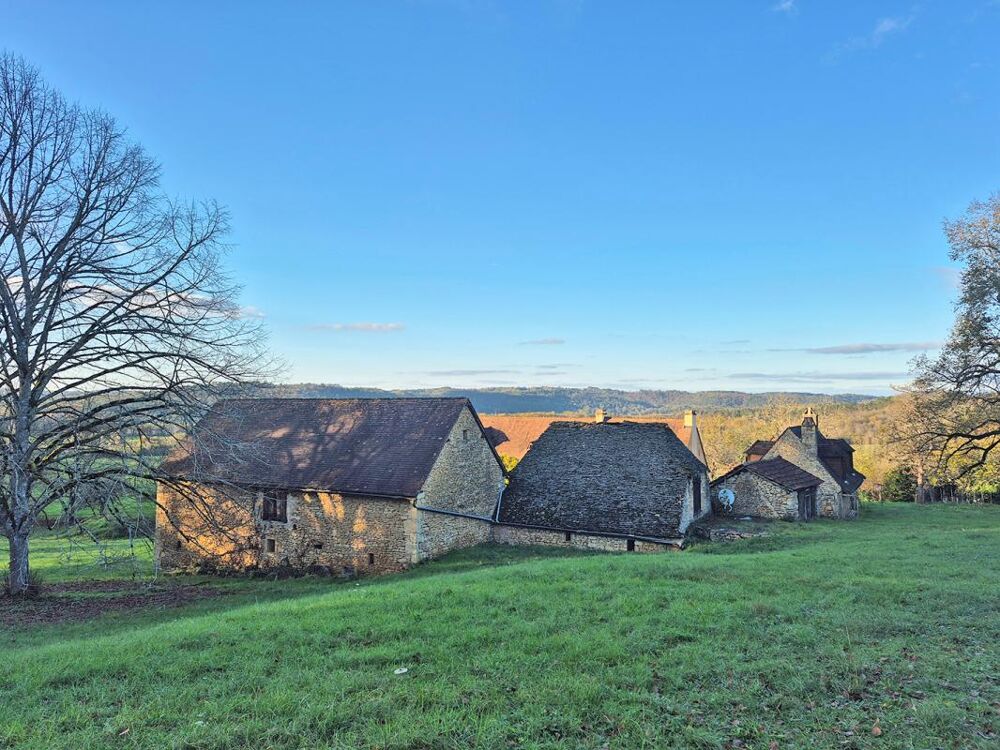 � vendre  Maison Montignac (24290)