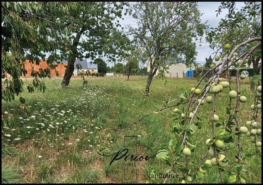Vente Terrain Proche du coeur de ville Baugé - 1300 m² de terrain partiellement arboré Bauge en anjou