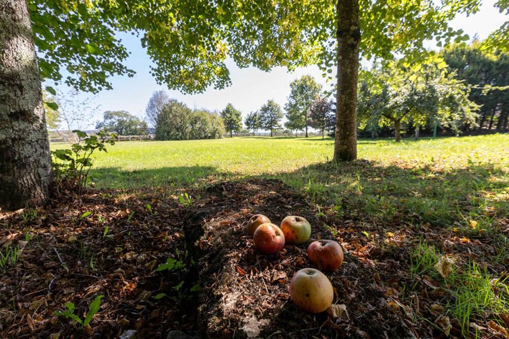 Vente Propriété/Château LE FIED (39) - Propriété 10 pièce(s) - 413 m2 + 187m² de dépendances à aménager Le fied