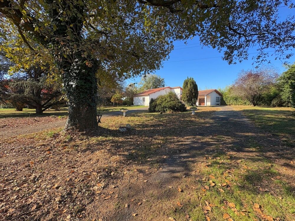 Vente Maison Maison à vendre 4 pièces 160M2 AIRE SUR L'ADOUR (40) Aire sur l adour