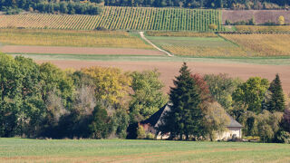  Propri�t�/ch�teau � vendre 8 pi�ces 222 m� Gevrey chambertin