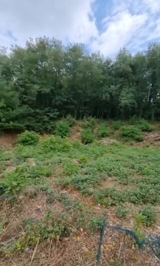  Terrain � vendre 2071 m�