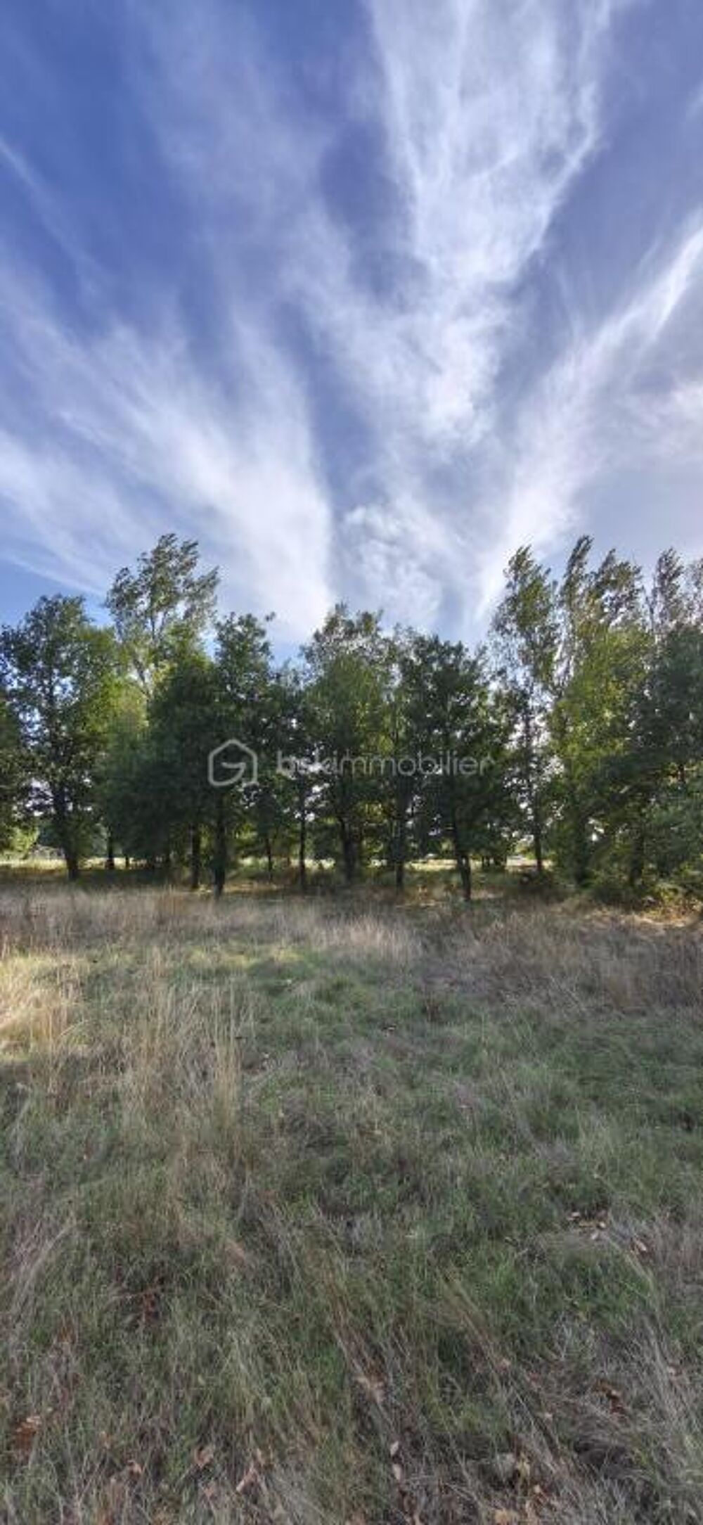 Vente Terrain TERRAIN CONSTUCTIBLE DE 2022 M2 PROCHE DE MONTAUBAN Montauban