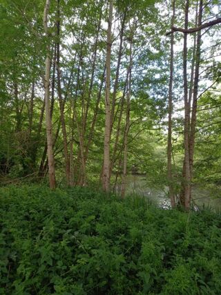  Terrain � vendre 405 m�