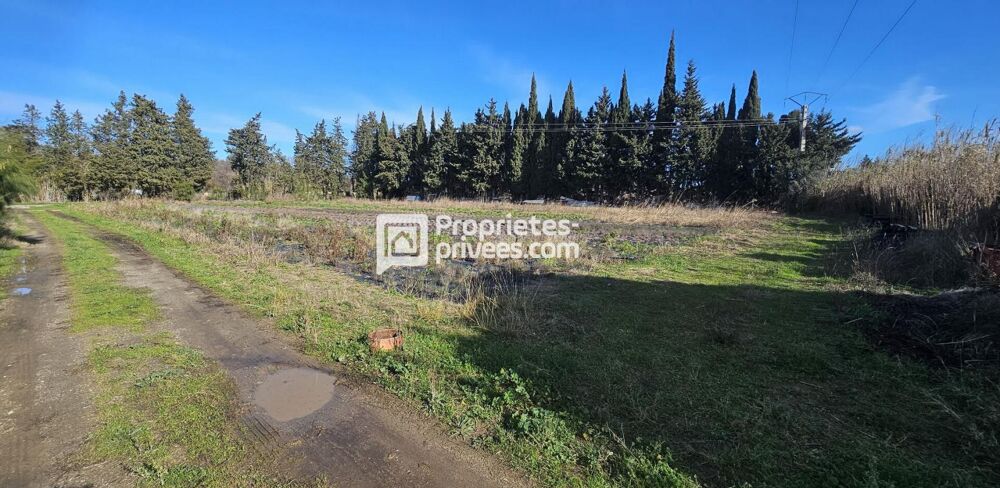 Vente Appartement Terrain agricole de plus de 9500 m² avec forage et groupe électrogène Elne