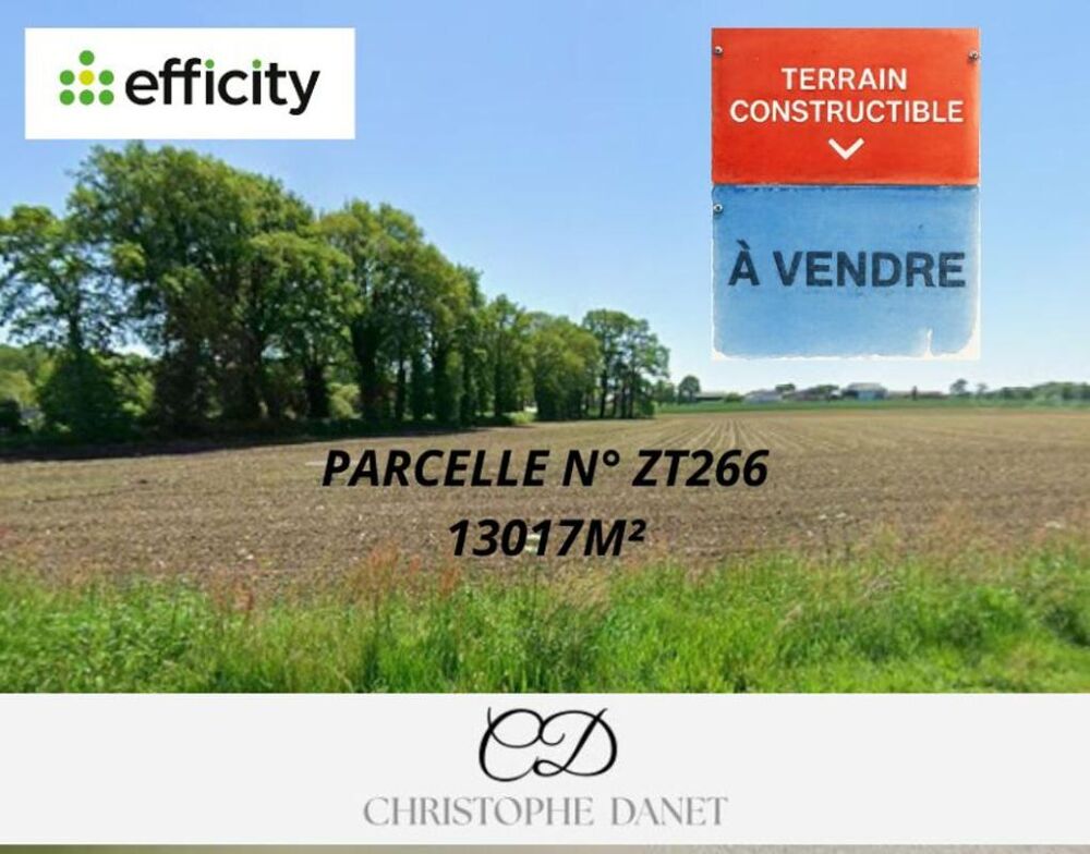 Vente Terrain Terrain Guehenno