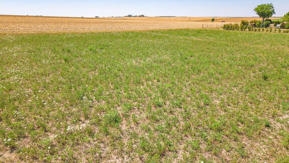 Vente Terrain Terrain Machault 963 m2 Rethel