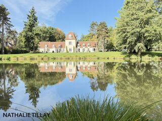  Propri�t�/ch�teau � vendre 12 pi�ces 365 m�