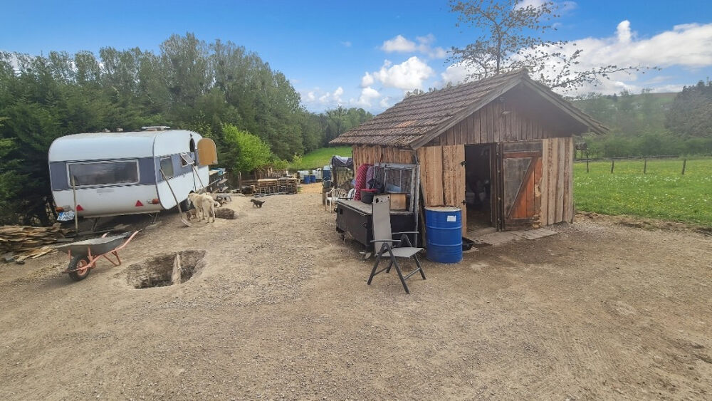 Vente Terrain Terrain agricole aménagé de 3 000 m² ? Chalets, puits et enclos ? Idéal apiculture, verger ou petit élevage Soultz sous forets