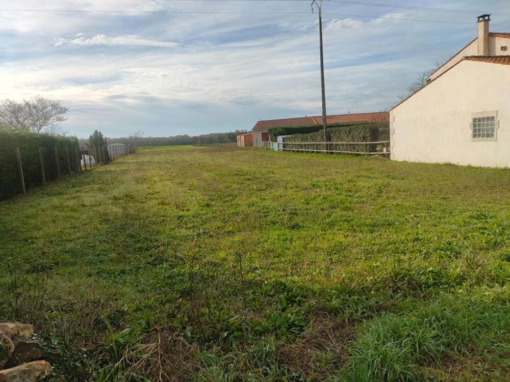 Vente Terrain Terrain Saint Savinien 1298 m2 Saint savinien