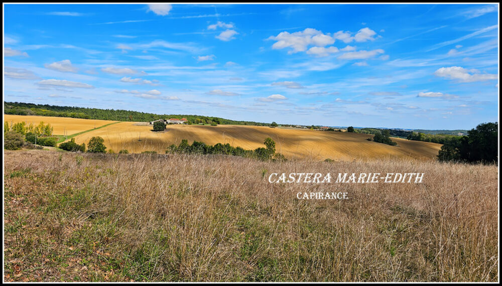 Propriete à vendre-Maison 7 pièces + bâtiments- 85,61 HECTARES proche de VIC FEZENSAC (32)