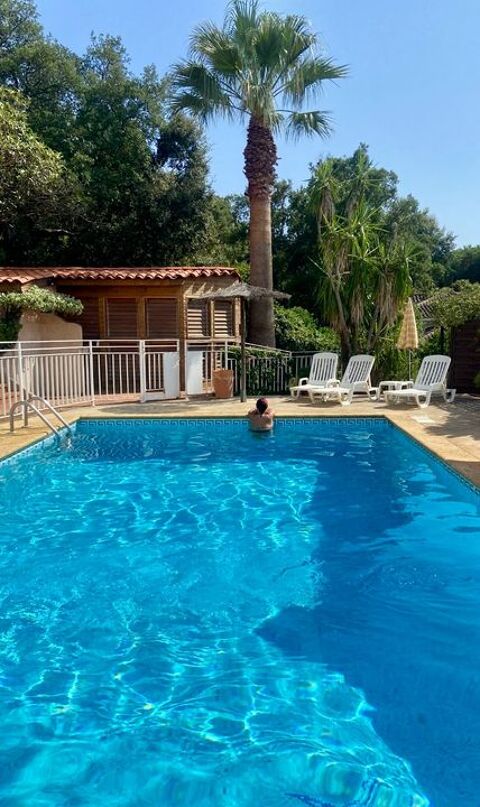   Studio de 20m2 à louer sur Fréjus Appartement - 1 pièce(s) - 20 m²
