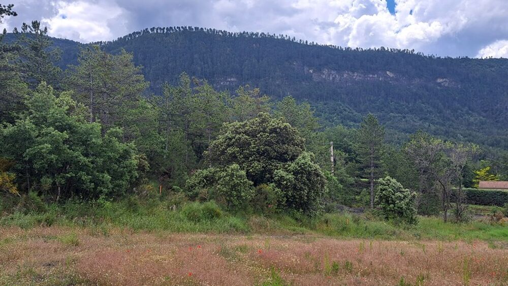 Vente Terrain A vendre DERNIER TERRAIN viabilisé de 2703m² au Brusquet (04420) Le brusquet