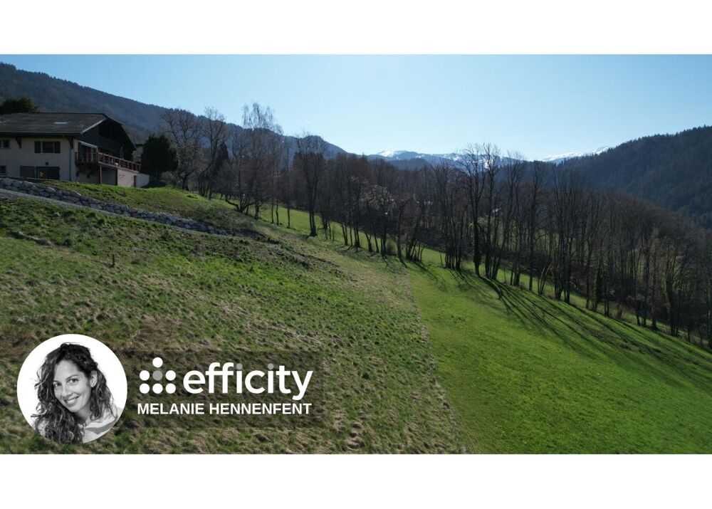 Vente Terrain Terrain Saint sigismond