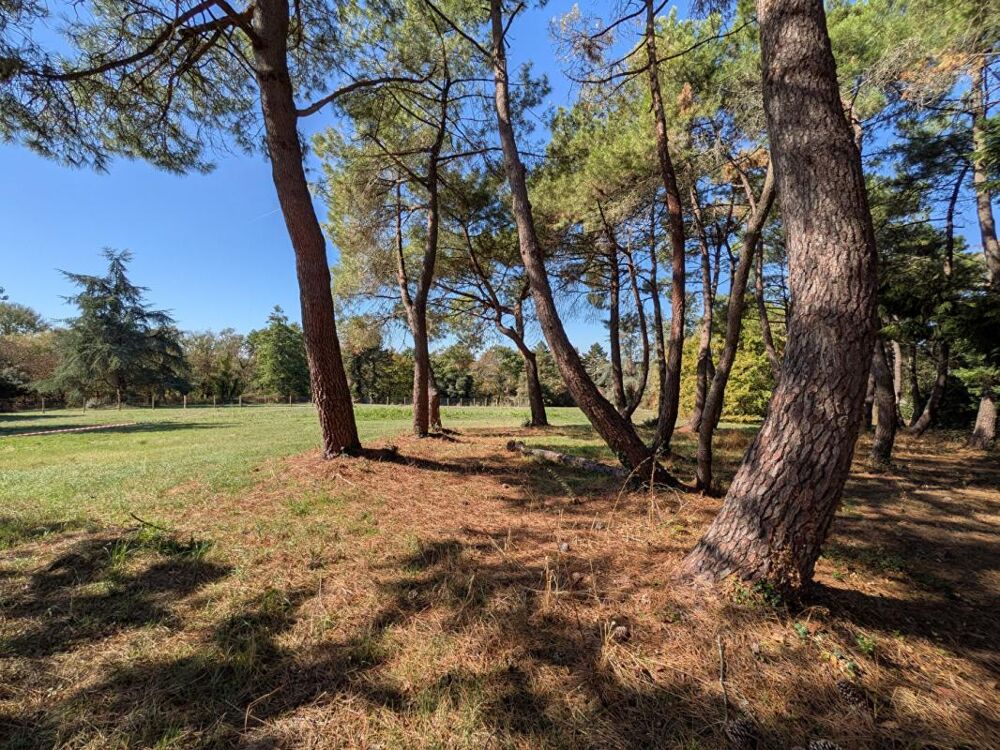 Maison 4 chambres, 160m², bourg de la Chapelle Basse Mer, Divatte sur Loire (44450)