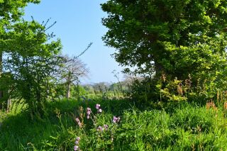  Terrain � vendre 790 m�