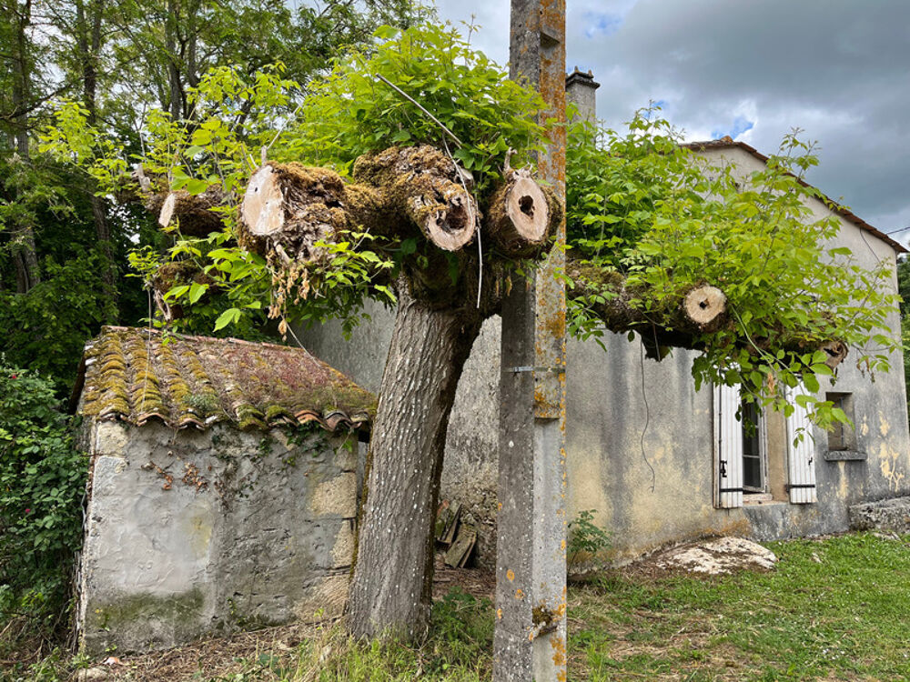 Maison avec grange à rénover CLEYRAC