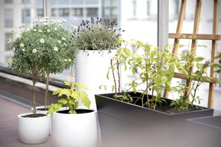  Appartement � vendre 3 pi�ces 66 m�