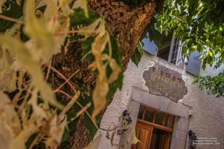  Maison � vendre 14 pi�ces 342 m�