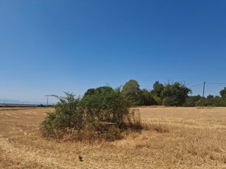  Terrain à vendre 12431 m²