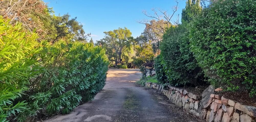 � vendre  Maison Porto-Vecchio (20137)