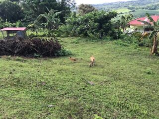  Terrain � vendre 940 m�