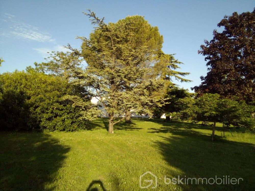 Vente Terrain Terrain d'exception arboré de 417 m² à vendre sur FERRIERES La rochelle