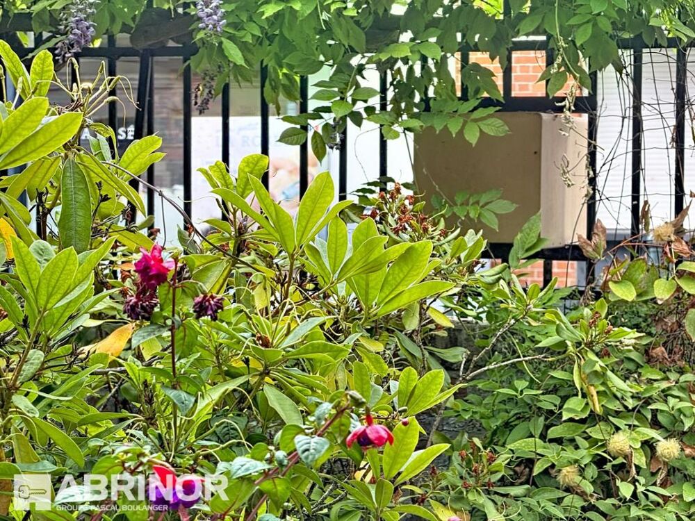 MAISON SEMI FLAMANDE 3 CHAMBRES JARDIN